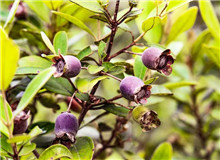 莫賢：如何寫好扶貧故事寫作有法，但無(wú)定法。我簡(jiǎn)單談?wù)劇讹踊ㄩ_(kāi)》的一些創(chuàng)作思路，與大家分享……[詳細(xì)]