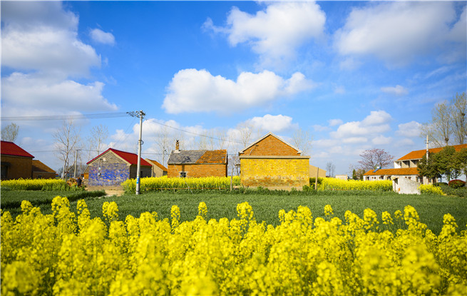 吳義勤：創造新鄉土文學精品力作