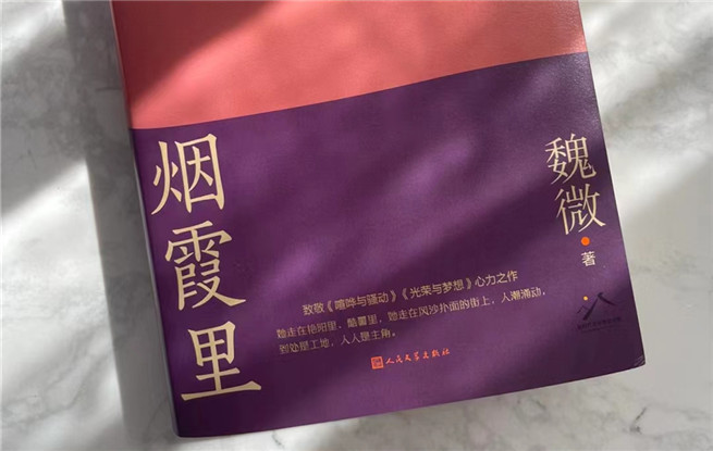 【特約評論】魏微：抒情為表，史詩為里