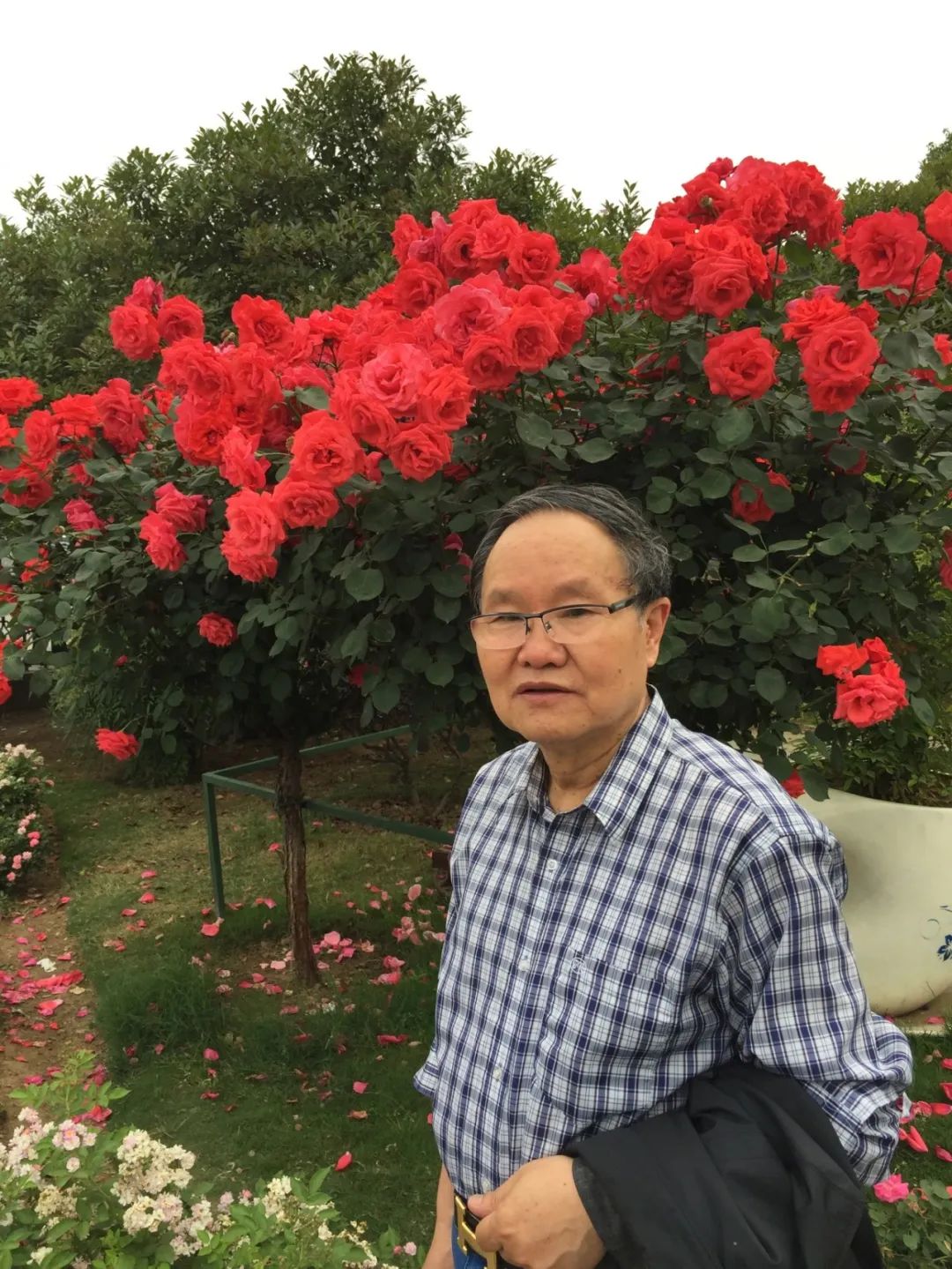 【劉慶邦，1951年生于河南沈丘。著有長篇小說《斷層》《遠方詩意》《平原上的歌謠》《紅煤》《遍地月光》《黑白男女》《女工繪》《花燈調》等十四部，中短篇小說集、散文集《走窯漢》《梅妞放羊》《遍地白花》《響器》《黃花繡》《到處有道》等七十余部。《劉慶邦短篇小說編年》十二卷。短篇小說《鞋》獲第二屆魯迅文學獎。中篇小說《神木》《啞炮》獲第二屆和第四屆老舍文學獎。中篇小說《到城里去》和長篇小說《紅煤》分別獲第四屆、第五屆北京市文學藝術獎。長篇小說《遍地月光》獲第八屆茅盾文學獎提名。長篇小說《黑白男女》獲首屆吳承恩長篇小說獎。長篇小說《家長》獲第二屆南丁文學獎。長篇散文《陪護母親日記》獲第二屆孫犁散文獎。曾獲北京市首屆德藝雙馨獎，首屆林斤瀾杰出短篇小說作家獎，第十屆冰心散文獎。獲《北京文學》獎十五次；《十月》文學獎七次；《小說月報》百花獎八次等。根據其小說《神木》改編的電影《盲井》獲第53屆柏林電影藝術節銀熊獎。1990年加入中國作家協會，為中國煤礦作家協會名譽主席，北京作家協會原副主席，一級作家，北京市第十、第十一、第十二屆政協委員，中國作家協會第五、第六、第七、第八、第九屆全國委員會委員。】