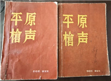 從未遠去的“平原槍聲”　　合上《平原槍聲》最后一頁，初聽現(xiàn)實中肖張鎮(zhèn)這個地名，心頭不禁一震：莫不是小說中的肖家鎮(zhèn)？[詳細]