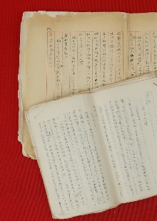 一份日記，如同顯微鏡下的“抗戰(zhàn)長城”　　1939年，作家戰(zhàn)地訪問團北上前線途中，盡管危險重重，又緊張又勞累，王禮錫仍然想盡辦法詳細記錄下訪問團的活動和他自己的生活，或許他未曾想過這些文字會穿越戰(zhàn)火，歷經(jīng)風風雨雨八十余載，成為一把打開抗戰(zhàn)歷史的特殊密鑰。[詳細]