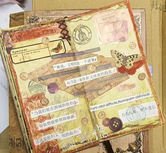 閱讀摘抄手賬，來源：讀者“朝夕昭奚”微博