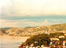 我的散文的生命力來自于田野調查　　蟋蟀叫著，兮兮兮。月影上來了，印在窗戶上，如一朵潔白的窗花。[詳細]