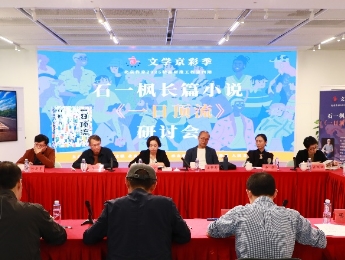 《一日頂流》研討會發言摘編