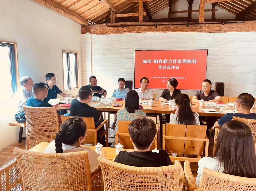 臨安實踐點與安徽作家開展訓(xùn)練營活動