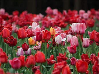 2025年度長篇小說：轉折時代的敘事藝術