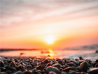 2025年散文：記憶為根，生活為壤，未來為光