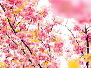 2025年度報告文學：觸摸中國心跳 記錄人間煙火