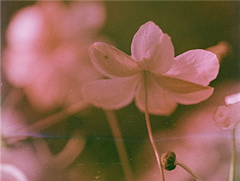 2025年度詩歌：更大的格局與更深的意味